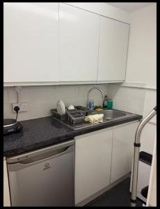 Very Large Flat on the lower ground floor level
