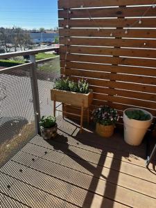 Loft & balcony