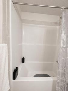 Cozy Private 1BR Basement Suite