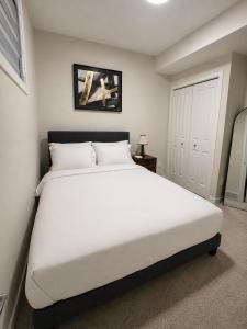 Cozy Private 1BR Basement Suite