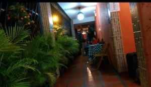 Posada Doña Alcinda