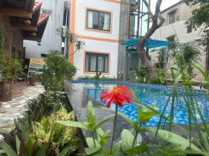 Tam Coc Vinh Thinh Homestay