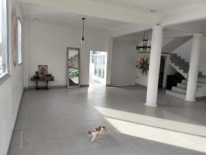 Mi casa de campo Tlayacapan