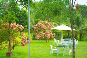 Kep Orchid Cafe