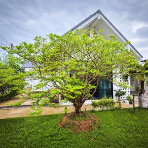 Home No 5