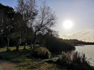 4 star holiday home in Ansager