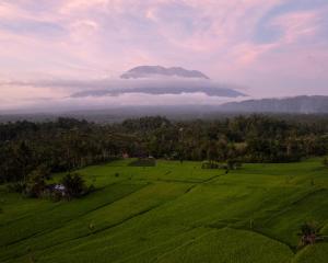 The Agungs Nest Bamboo House - Kosay Bali