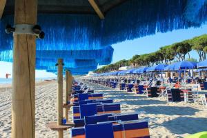 Ficus 2 Pineto Vacanza