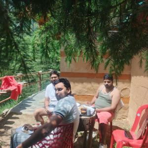 Alpine heaven forest view cottage jibhi,