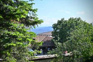 Stella Guesthouse