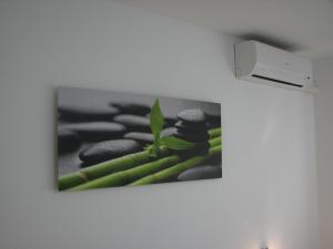 Eva Luxury Rooms & Apartments