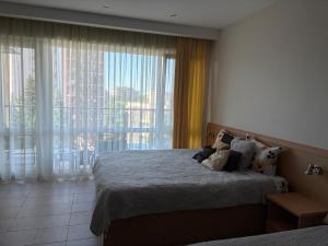 Miramar Palace 612