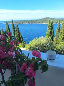 Apartment Matea Zlatni Potok