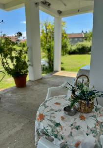 Apartmani Dragana