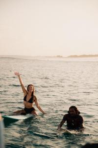 Bibee Surf
