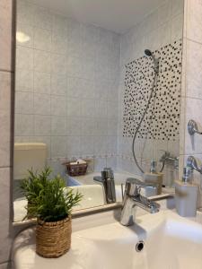 Apartman Iva
