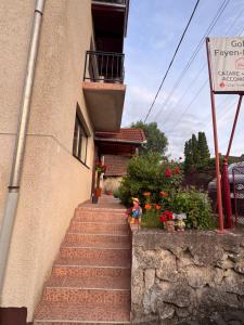 Gold Fayen House Cheile Turului