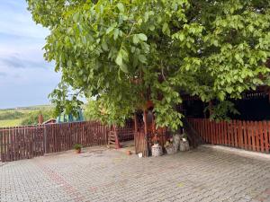 Gold Fayen House Cheile Turului