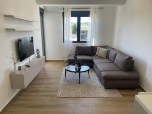 Luxury apartment