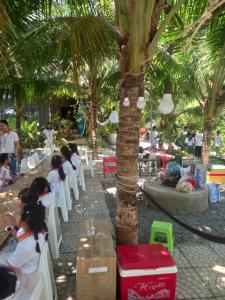 Home Stay co luy