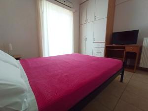 Apartment in the city of Lefkas