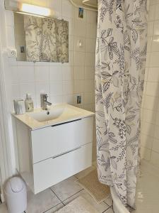 Appartement T2 centre-ville, étang au Duc Vannes