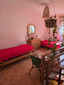 Domu Malaspina img18