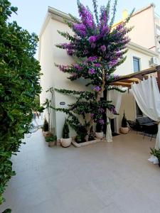 BugenVila , Central 3BR Home with Garden & BBQ