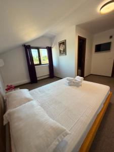 Casa Aylin