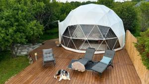 Saare Glamping Dome House