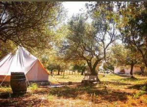 Carrubbella glamping & country village