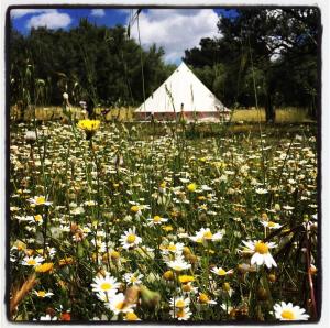 Carrubbella glamping & country village