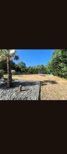 Villa hourtin avec piscine 17 couchages
