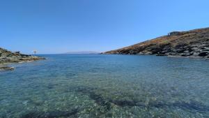 Simousea