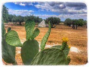 Carrubbella glamping & country village