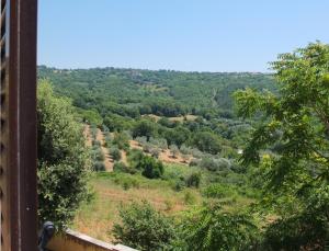 Rustic House with Small Private Garden - Vallerona