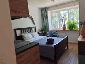 The Lake Solo Studio I Self Check-in & Free Parking