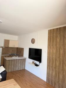 Apartmani ana