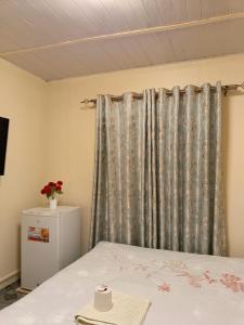 Studio garden in Lavington