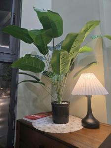 Bốngs homestay and cafe