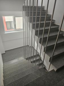 D25 nr 48 GBR apartament