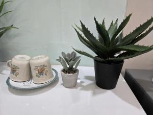 Bốngs homestay and cafe