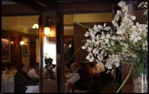 Cordoba Yolanda Hotel