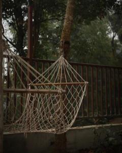 Royal Fern Cottages, Sittong