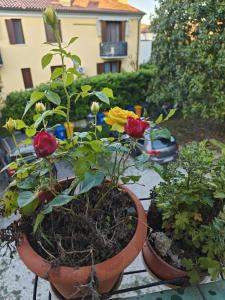 Shaivya Tourist Rental 5 min walk from Treviso Station Easy connection to Venice