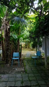 3-Bedroom and 1-bedroom Apartments in Kobuleti