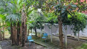 3-Bedroom and 1-bedroom Apartments in Kobuleti
