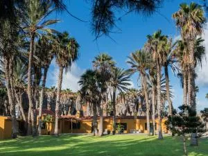 Finca Hoya del Pozo - Telde