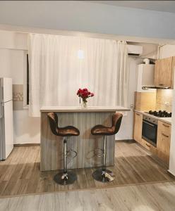Quiet & Bright Studio - Available Monthly