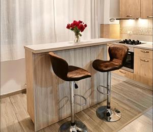 Quiet & Bright Studio - Available Monthly